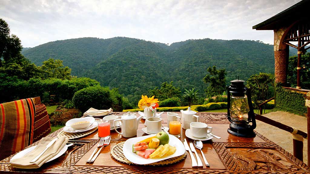 How to book Uganda family safari